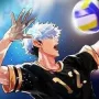 The Spike - Volleyball Story MOD APK