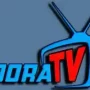 Dora TV Mod Apk (1)