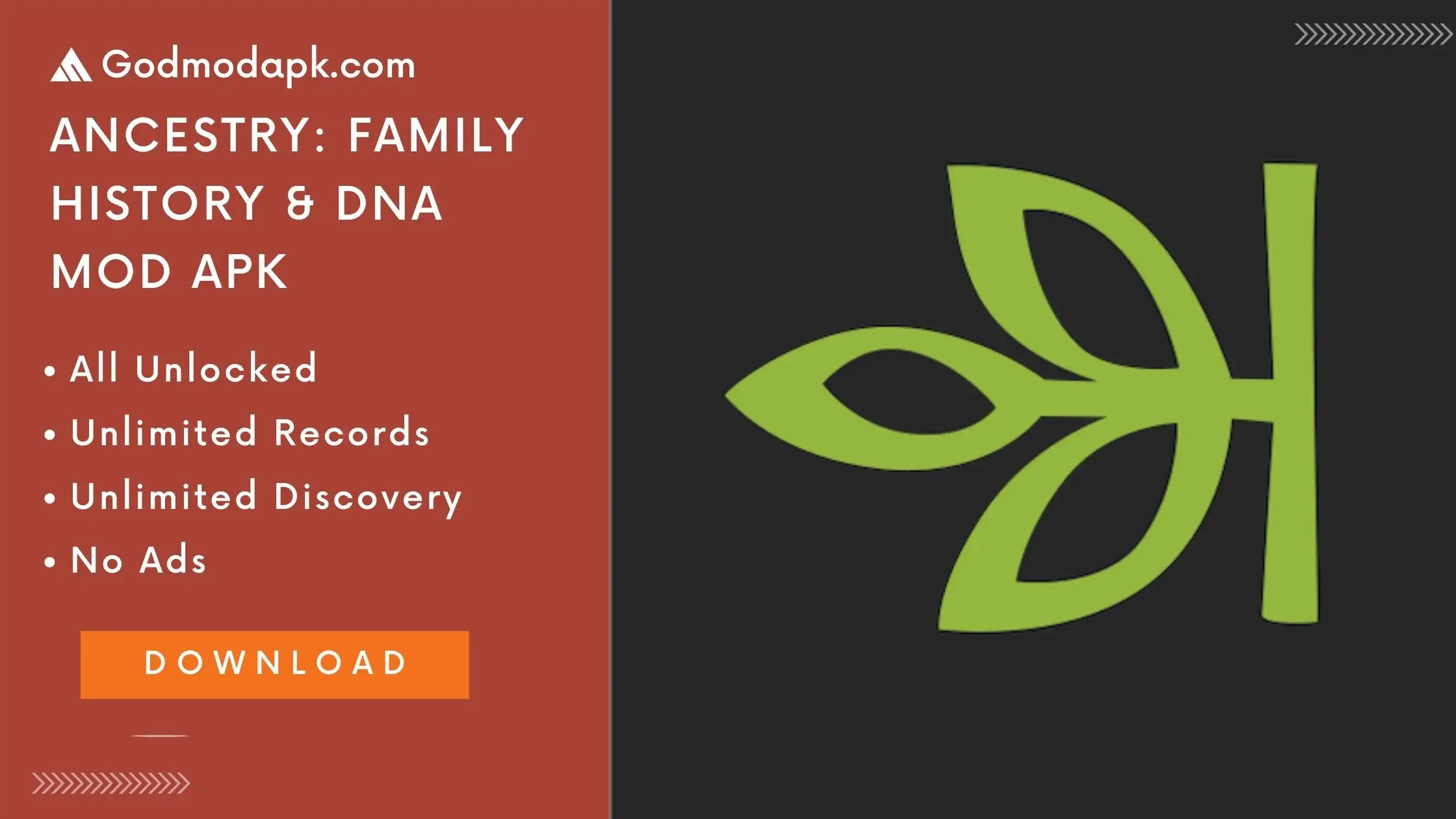 Ancestry Family History & DNA Mod Apk Download